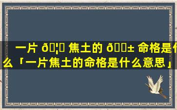 一片 🦅 焦土的 🐱 命格是什么「一片焦土的命格是什么意思」